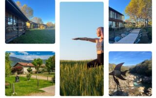 EL LUGAR: HOSPEDERÍA DEL SILENCIO Un entorno rodeado de naturaleza pura, calma real y luz. Habitaciones de madera acogedoras, salas amplias, jardines, caminos y rincones tranquilos donde soltar, descansar y conectar contigo desde otro lugar.